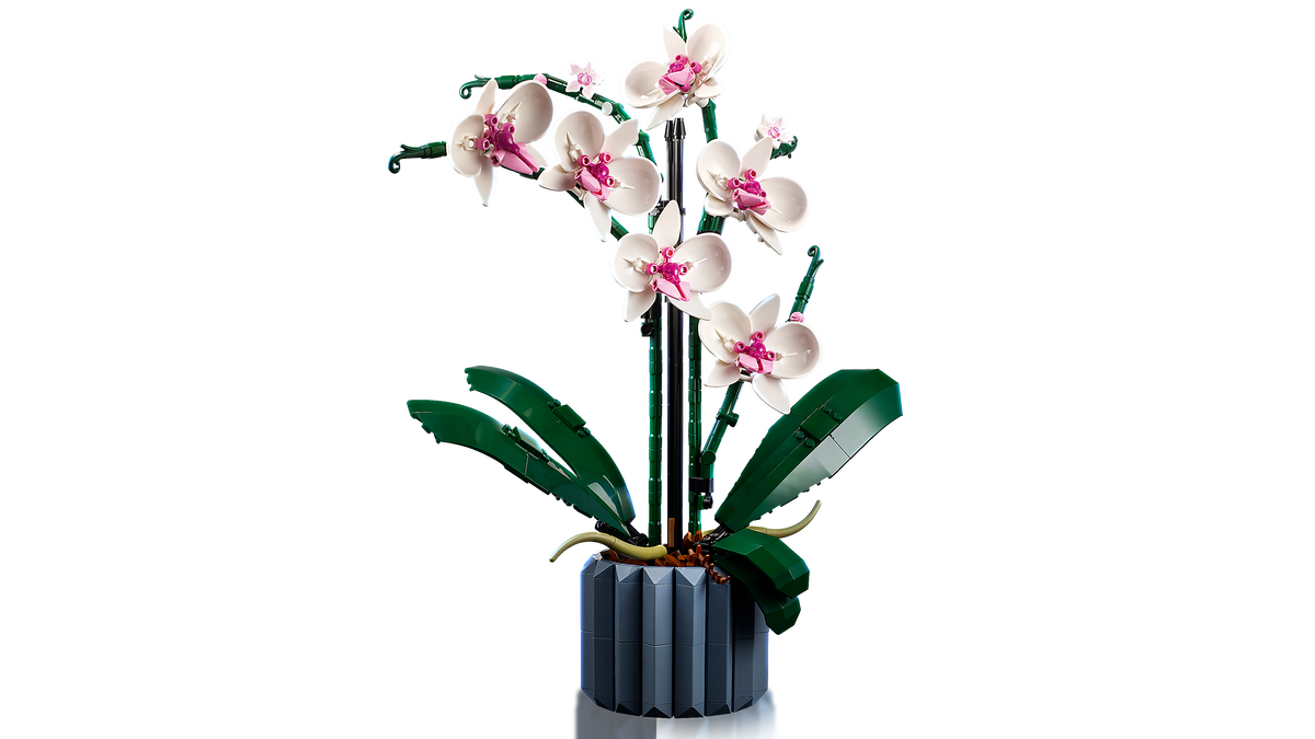 LEGO® Botanical Collection - 10311 Orchidee – Detailansicht 1