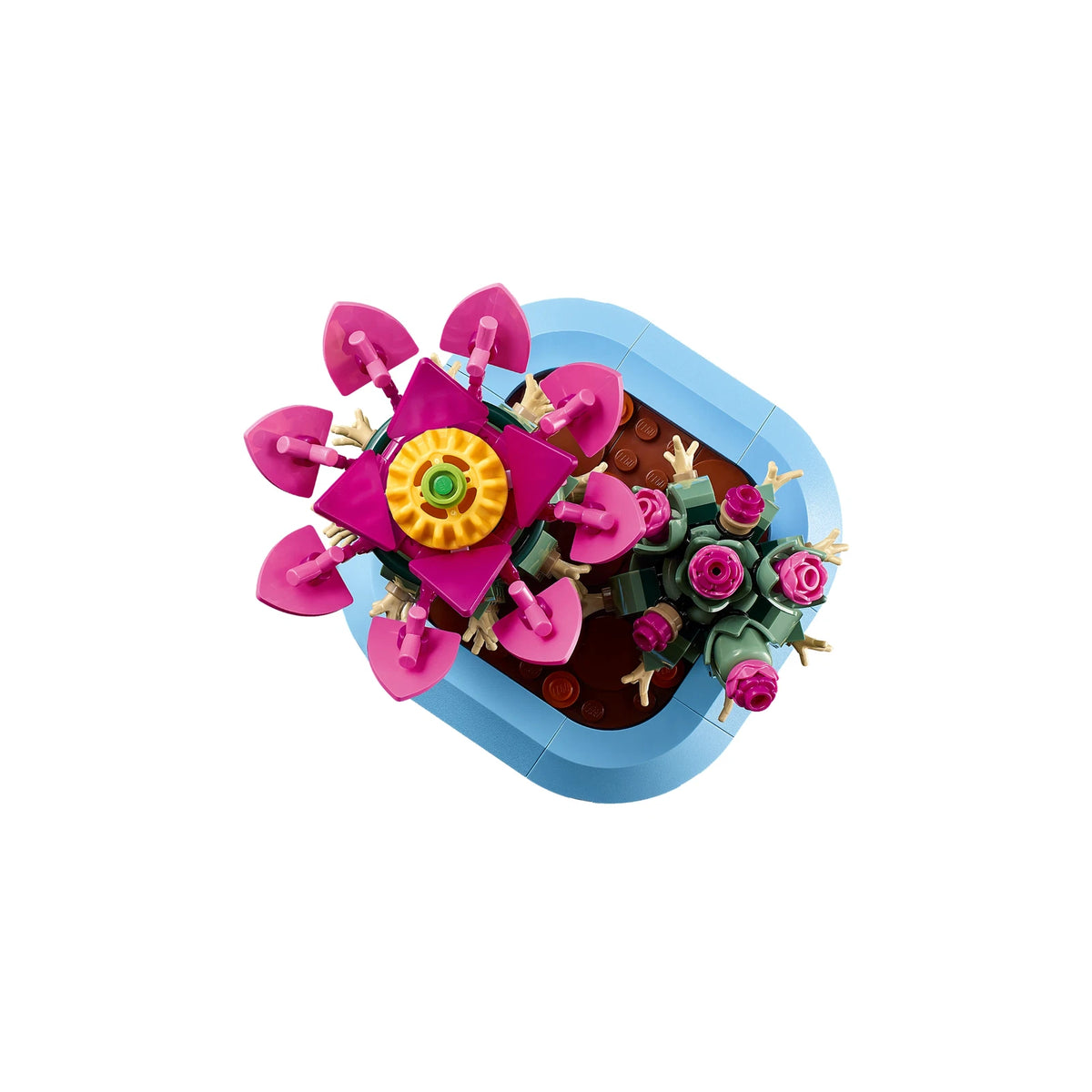 LEGO® Botanicals 11509 Blühender Kaktus