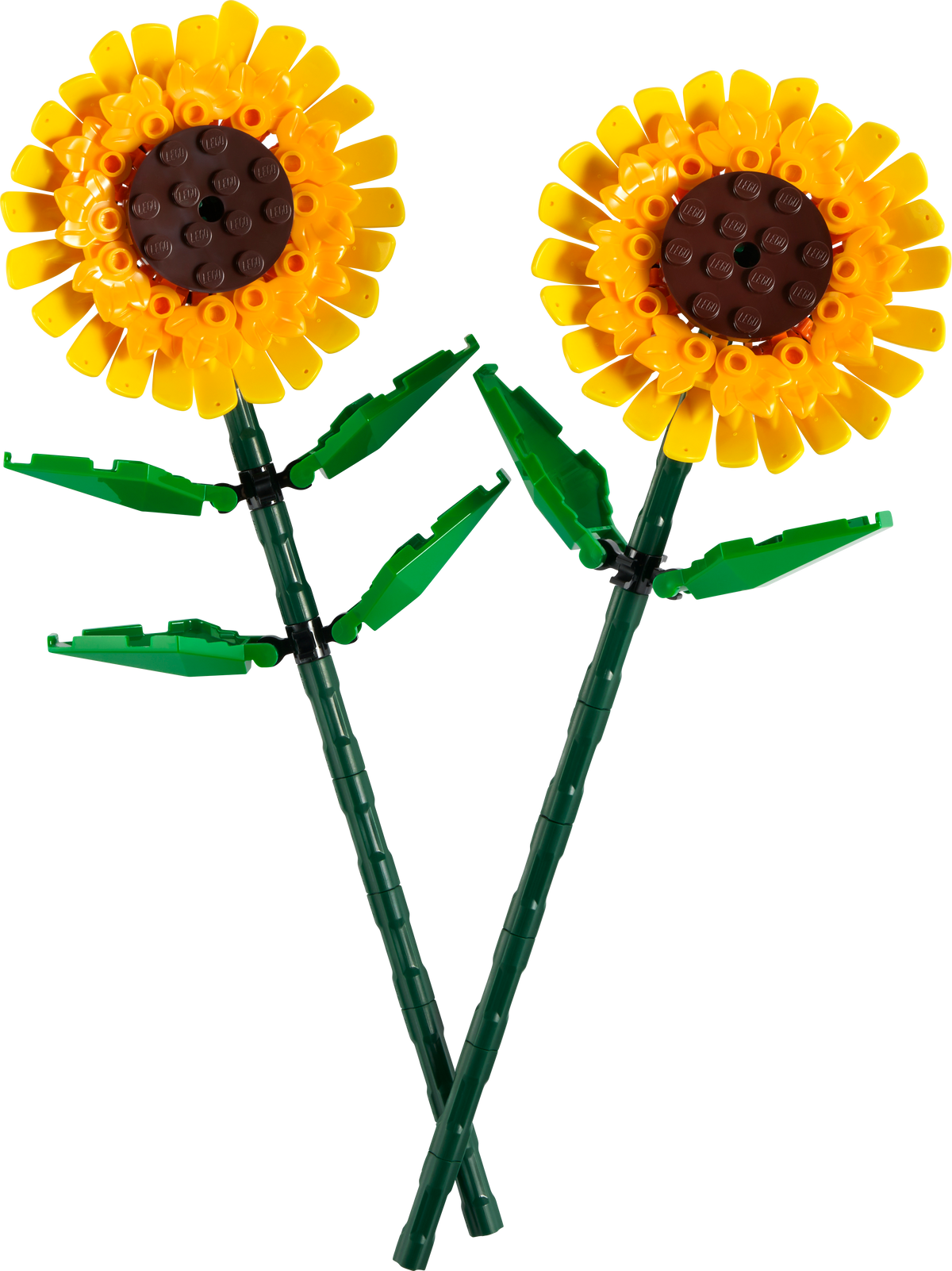 LEGO® Icons 40524 Sonnenblumen – Modell