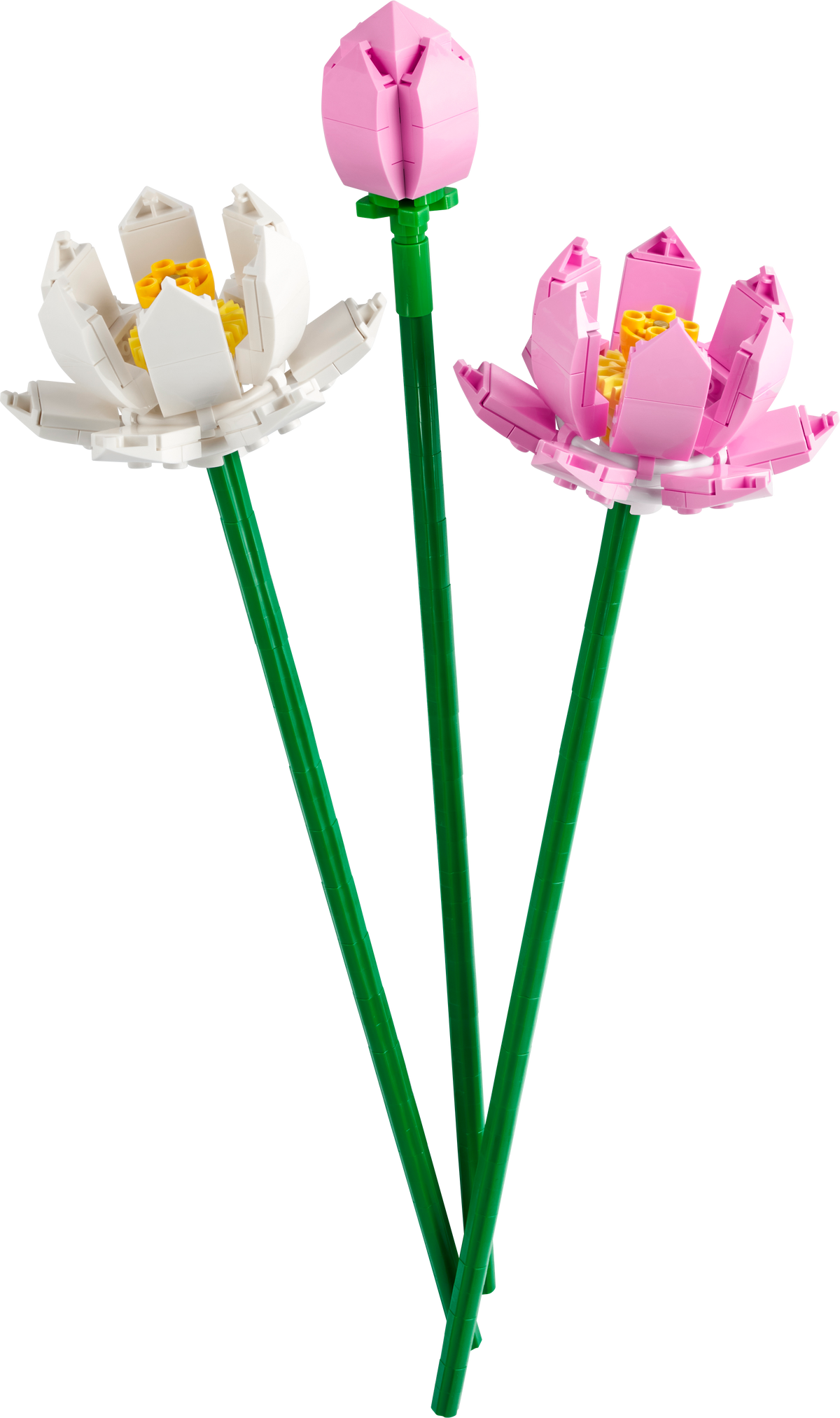 LEGO® Icons 40647 Lotusblumen – Modell