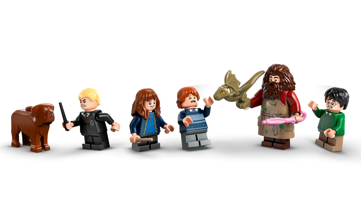 LEGO® Harry Potter 76428 Hagrids Hütte: Ein unerwarteter Besuch – Detailansicht 1