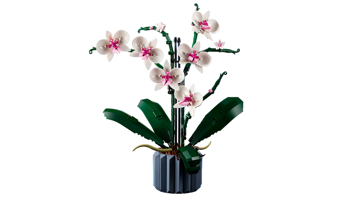 LEGO® Botanical Collection - 10311 Orchidee – Detailansicht 2