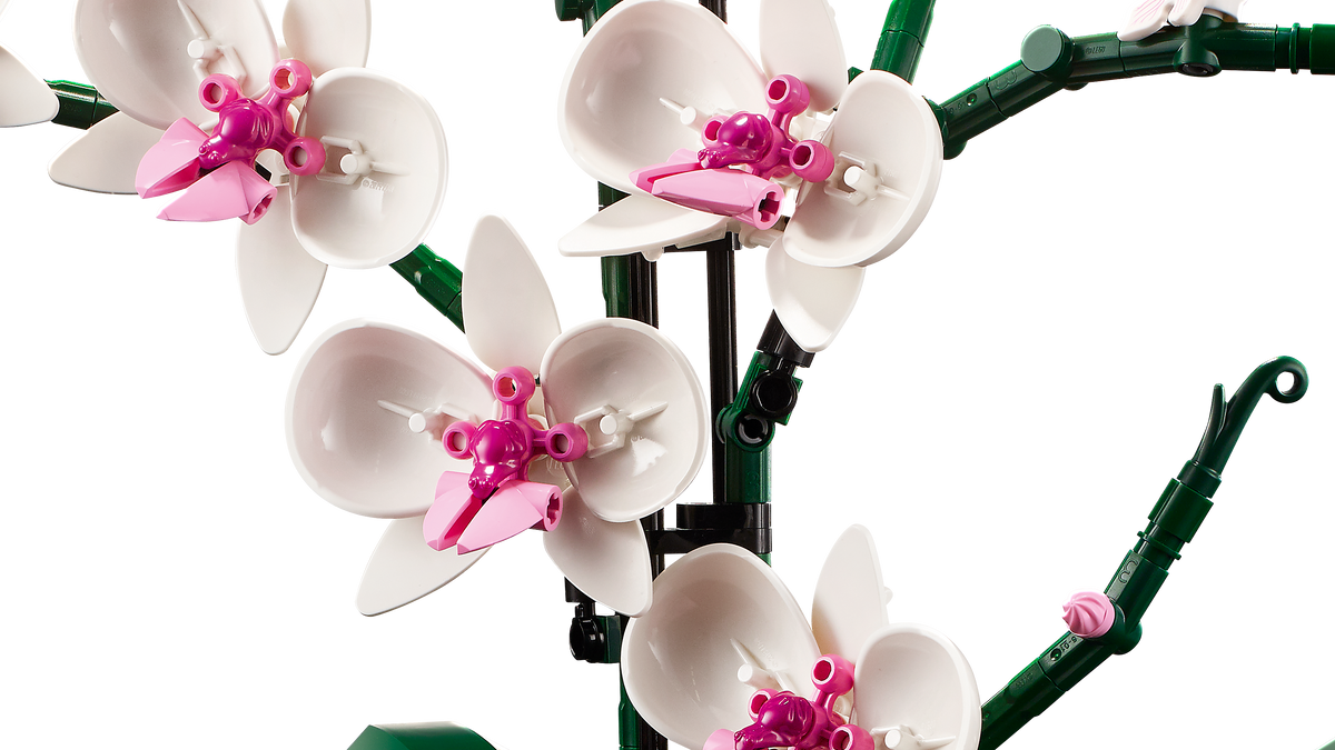 LEGO® Botanical Collection - 10311 Orchidee – Detailansicht 3