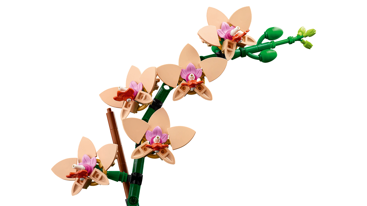 LEGO® Botanical Collection - 10343 Mini-Orchidee – Detailansicht 2