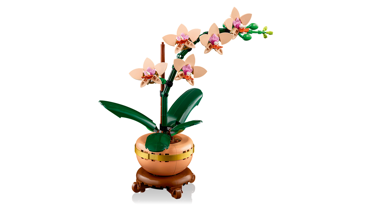 LEGO® Botanical Collection - 10343 Mini-Orchidee – Detailansicht 1