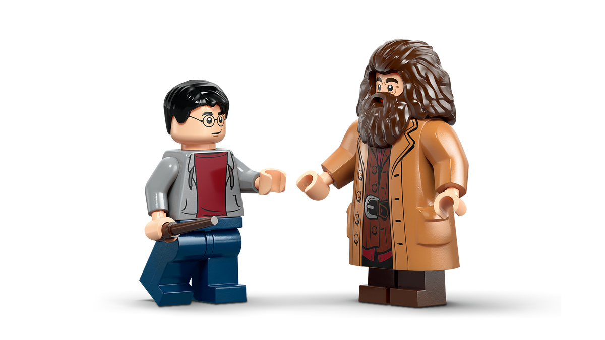LEGO® Harry Potter 76459 Hagrids und Harrys Flucht aus dem Ligusterweg