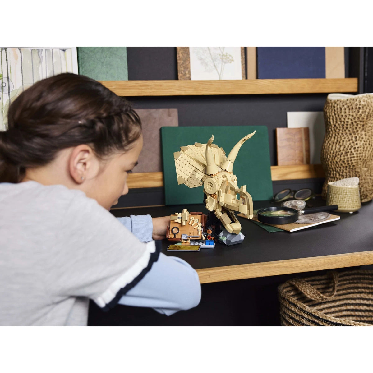 LEGO® Jurassic World 76969 Dinosaurier-Fossilien: Triceratops-Schädel