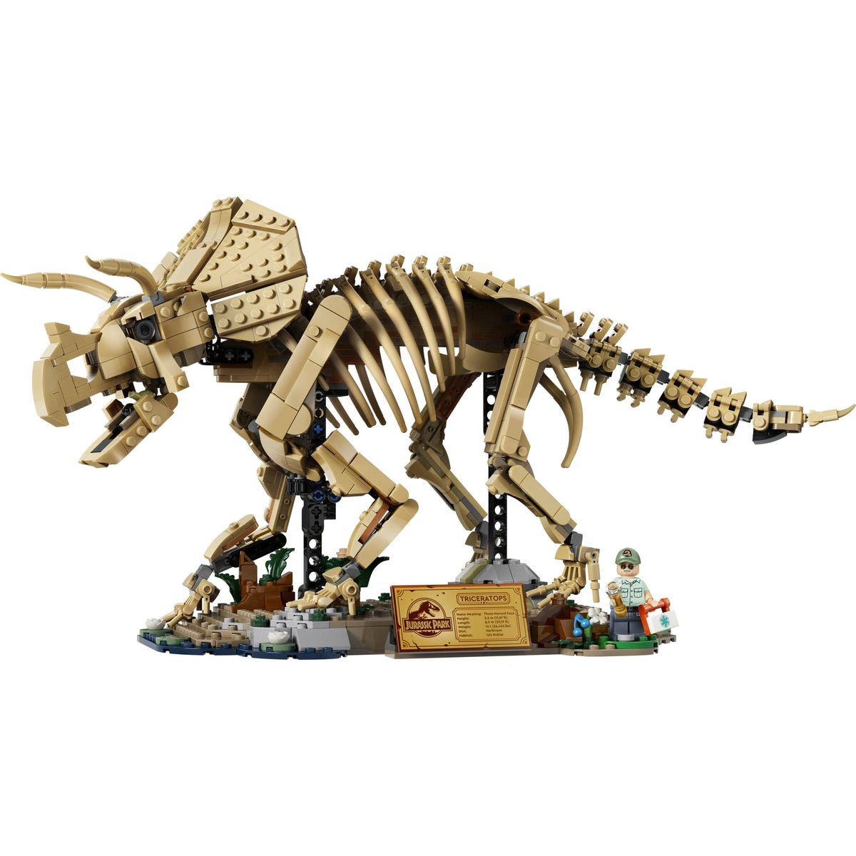 LEGO® Jurassic World 77985 Dinosaurier-Fossilien: Triceratops – Ansicht 2